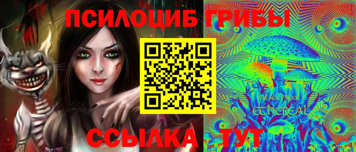 Псилоцибиновые грибы мицелий  Вход с VPN  продажа наркотиков  Карталы 