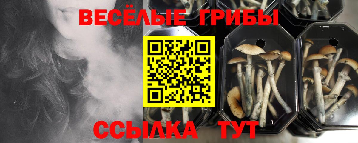 Псилоцибиновые грибы ЛСД Карталы